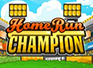 Home Run Champion